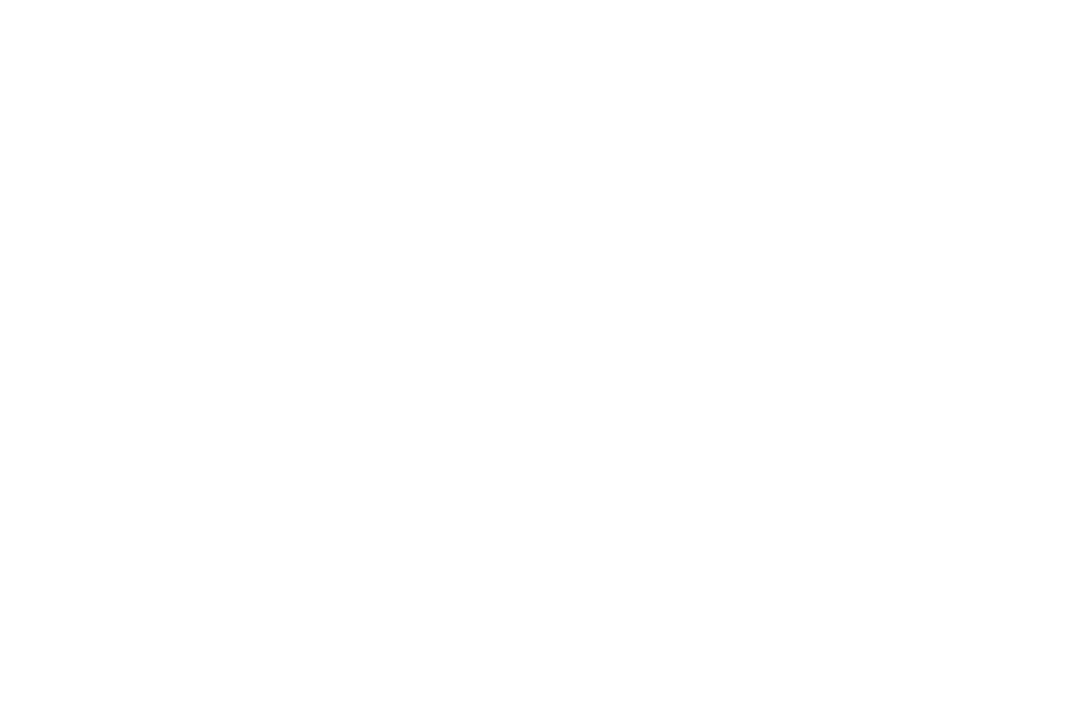 TrustNets Logo